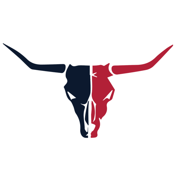 Houston Texans Heavy Metal Logo fabric transfer
